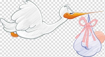 White stork illustration, White stork Infant , White Swan transparent background PNG clipart