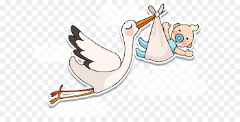 White stork Infant Baby shower - Vector baby is coming 