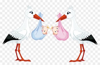 White Stork Infant Clip Art - Stork Carrying Baby