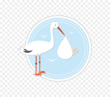 White stork Vertebrate Bird Crane Flamingos - bird 