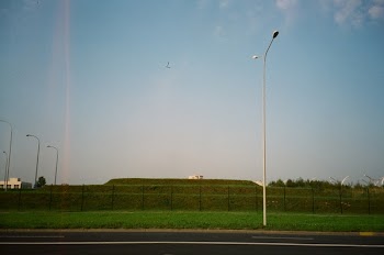 White Street Light Near Green Grasses