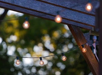 white string lights in tilt shift photography