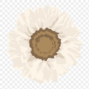 White sunflower png sticker, aesthetic | Free PNG - rawpixel