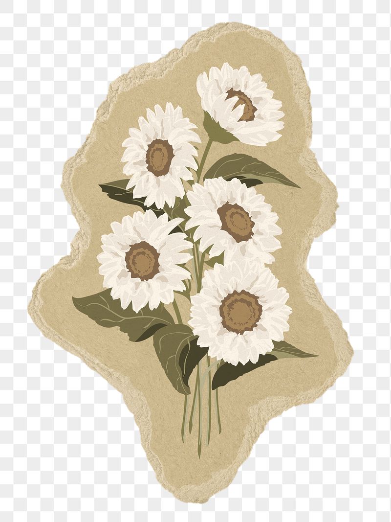 White sunflower png sticker, torn | Free PNG Illustration - rawpixel