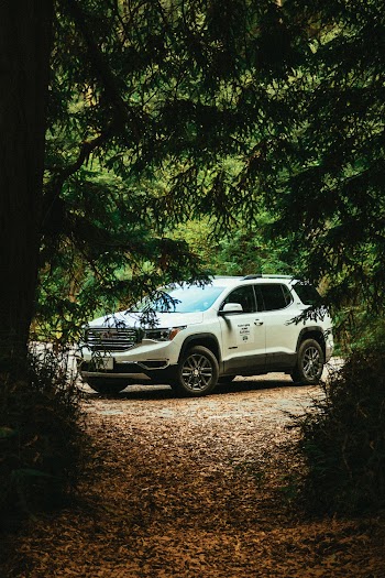 White Suv and Green Trees
