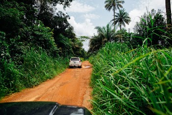 White SUV Driving on Dirt Road Surrounded by Trees and Plants