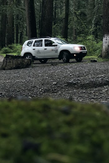 White Suv Near Trees