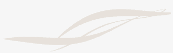 White Swoosh - Free Transparent PNG Download - PNGkey
