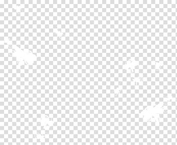 White Symmetry Black Pattern, White beautiful dragonfly transparent background PNG clipart