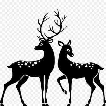 White-tailed deer Silhouette Stag and doe Clip art - deer watercolor 