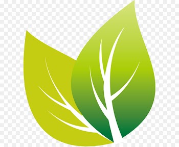 White tea Android - Green leaves green icon vector Creative 