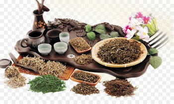 White tea Green tea Iced tea Bai Mudan - Tea tea 