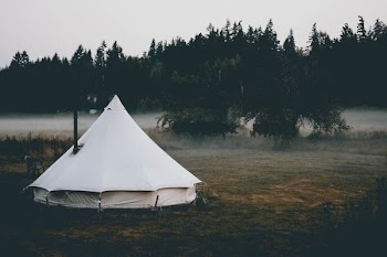 white tent near trees during day