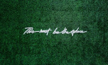 White Text