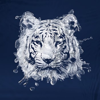 White tiger sticker, water splash, | Free PSD Illustration - rawpixel