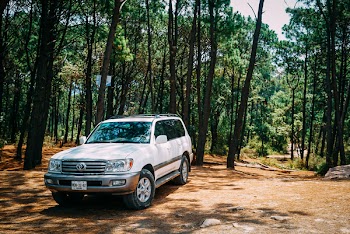 White Toyota Land Cruiser Parked In Forest