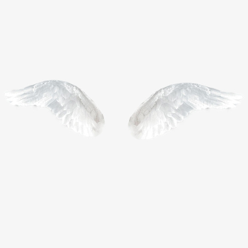 White Transparent Wings, Product Kind, White, Angel PNG ...