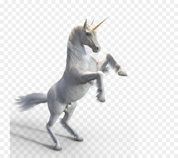 White Unicorn 