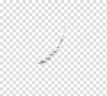 White Unicorn Horse, grey animal horn transparent background PNG clipart