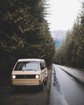 White Van Parked at the Side of the Road Near Trees during Day