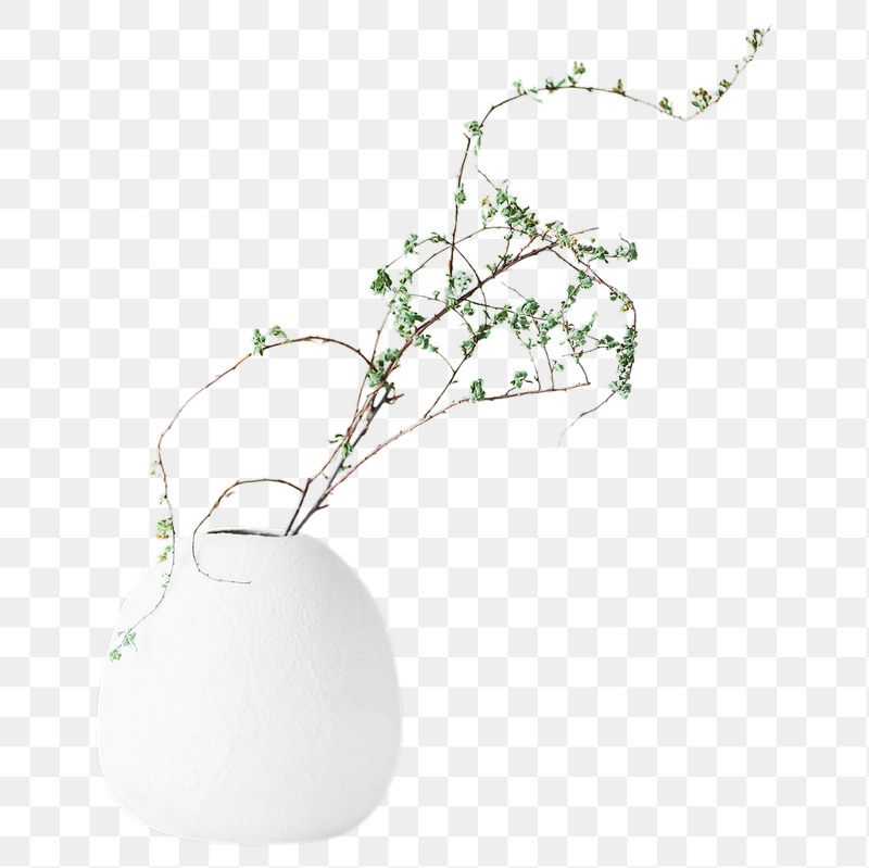 White vase png sticker, transparent | Free PNG - rawpixel