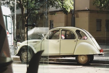 White Vehicle