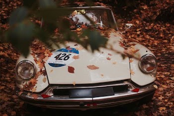 white vehicle covered in brown leaf lot