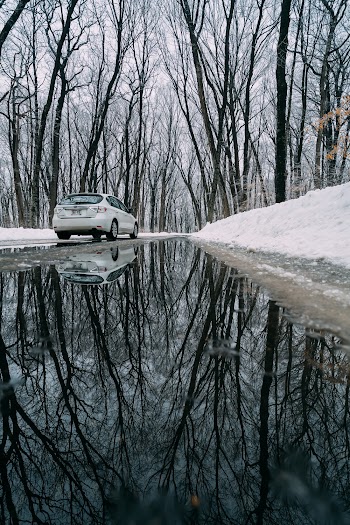 White Vehicle On The Road