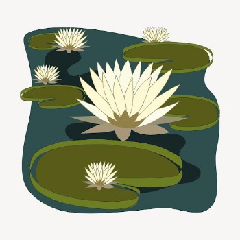 White water lilies collage element, | Free PSD - rawpixel