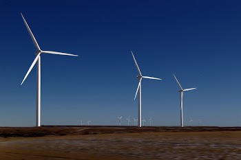 White Windmill