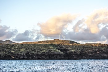White Windmill Photography