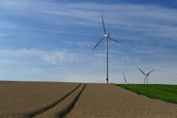 White Windmills