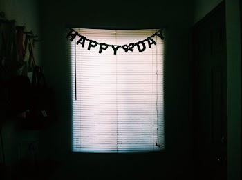 white window blinds