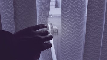White Window Blinds