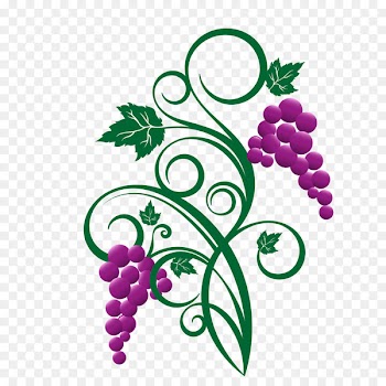 White wine Grape leaves Vector graphics - cartoon grape 