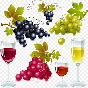 White wine Red Wine Sauvignon blanc Concord grape - Grapes and red wine goblet vector material 