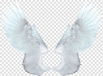 White wings , Food Network Magazine Animation, White angel wings transparent background PNG clipart