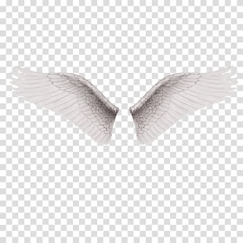 White wings illustration, Alas Software, A pair of white wings transparent background PNG clipart