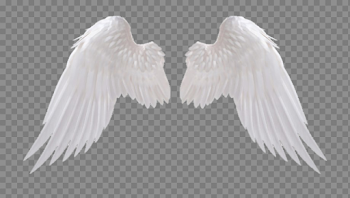 White Wings PNG Clipart