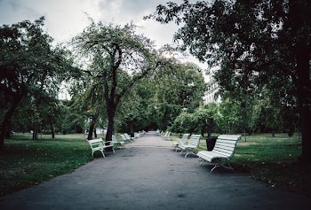 White Wooden Benches On Park
