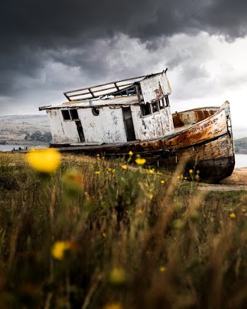 White Wooden Boat Adrift at Shore Under Grey Cloudy Sky