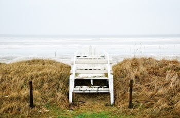 white wooden chair near body of water