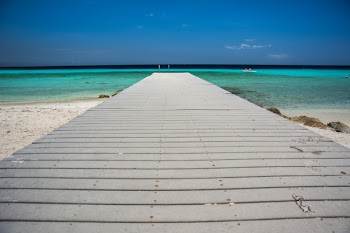 White Wooden Dock
