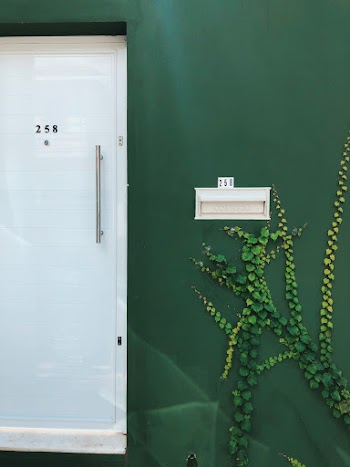 White Wooden Door Panel Beside Green Wall