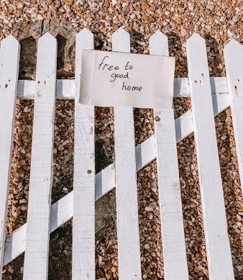 White Wooden Fence
