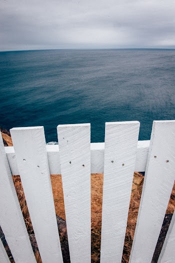 White Wooden Fence Beside Body of Water