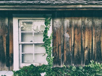white wooden framed glass panel window