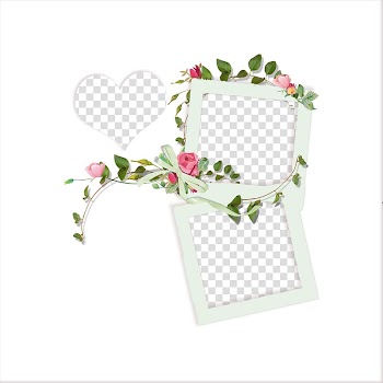 White wooden frames with flowers, Watercolour Flowers Watercolor painting Floral design Graphic design, Plants flowers watercolor flowers transparent background PNG clipart