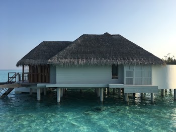 White Wooden House