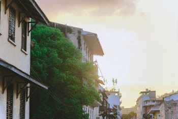White Wooden House